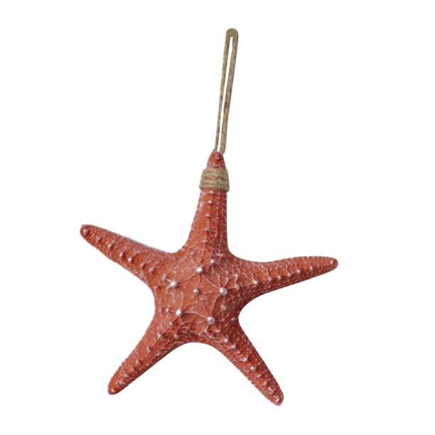 Pack de 6 estrellas de mar decorativas 23cm