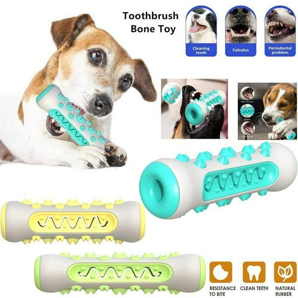 Juguetes para Perro de 12 Piezas- Juguete para Masticar, Juguete para  Perros Molar de Goma Duradero, Utilizado para Jugar, Limpiar Los Dientes,  Juego