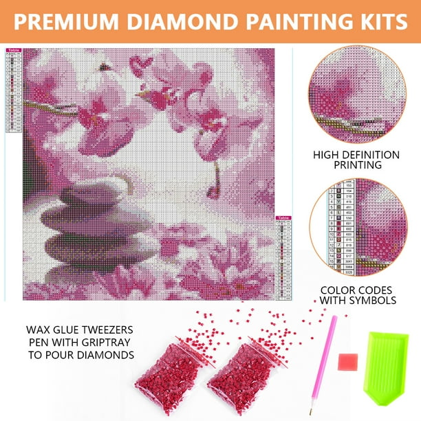 Cuadros Decorativos Kit de animales de loros coloridos de pintura de  diamante de resina redonda completa 5D DIY (K627) Wdftyju de costura negro  4