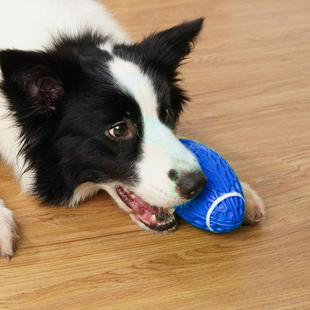 Juguetes para perros, limpieza interactiva, chirriadores de , juguete con  sonido, de entrenamiento Gloria Juguetes chirriantes para cachorros