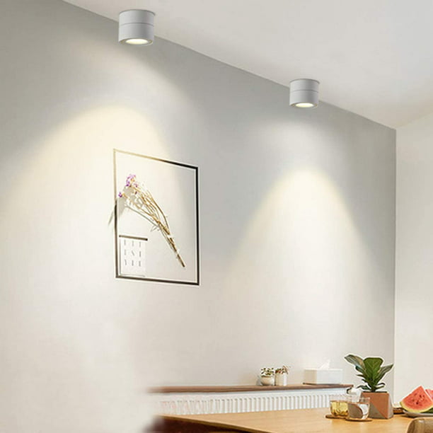  Foco LED empotrable para techo de interior, iluminación de techo  ajustable de aluminio, juego de 2, focos de montaje empotrado moderno para  sala de estar corredor galería (color: 10 W) 