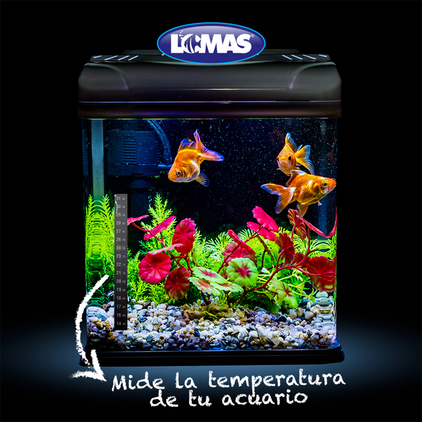 Termometro De Acuario Placa Blister Lomas Adhesivo