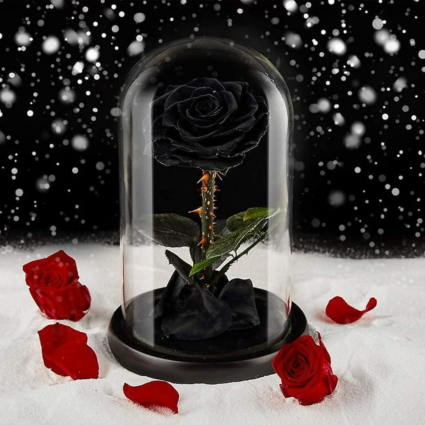 Forever Preserved - Rosa negra real preservada, regalos de cumpleaños para  mujeres, regalos de San Valentín, flor eterna negra en cristal, regalos