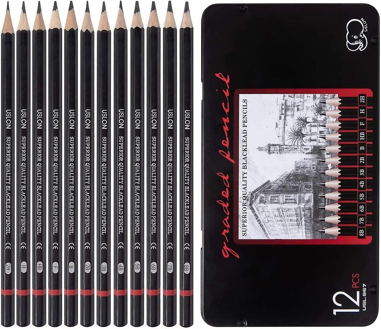Conjunto de lápices de dibujo profesional de 12 piezas-Lápices de dibujo  artístico (8b - 2h), ideal compatible con dibujo artístico, dibujo,  sombreado, Ar Afortunado Sencillez