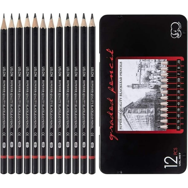 Conjunto de lápices de dibujo profesional de 12 piezas-Lápices de dibujo  artístico (8b - 2h), ideal compatible con dibujo artístico, dibujo,  sombreado, Ar Afortunado Sencillez