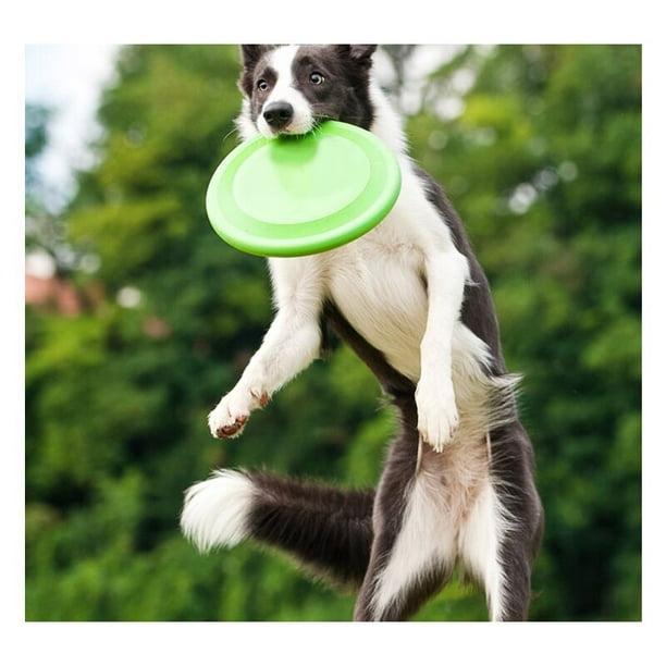 Dog Frisbee - Disco de frisbee suave para mascotas, juguete seguro para  perros para entrenamiento, juguete volador interactivo para razas