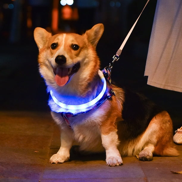 Las mejores ofertas en Collares de perro con iluminación LED