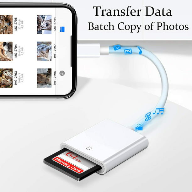 Adaptador de conector Lightning a lector de tarjetas SD — Apple