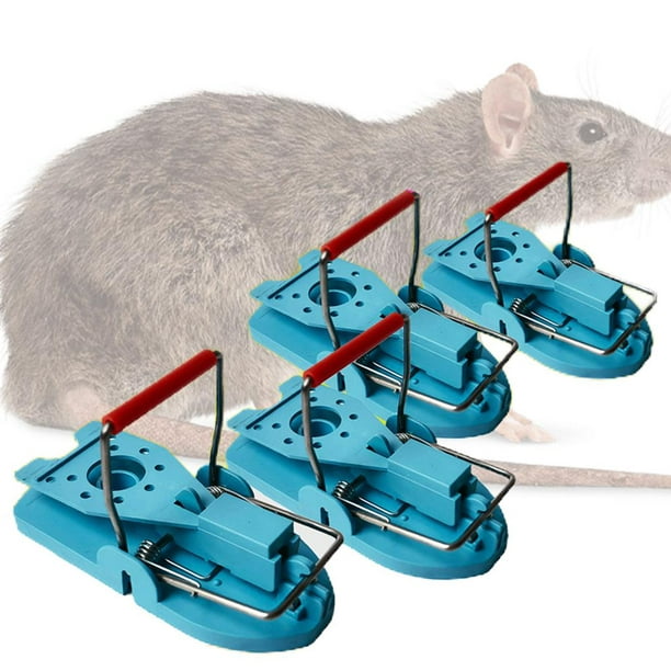 Paquete de 4 s para ratones, para la familia y las mascotas, control de  roedores, rápida y efectiva Macarena trampa para ratones