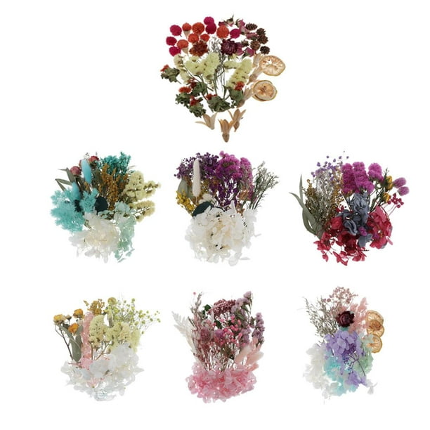 Juego de 4 bolsas de hojas de flores prensadas secas naturales, flores secas  mixtas, color