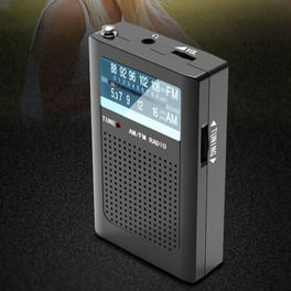 ZHIWHIS Radio Bluetooth portátil, radios FM AM de onda corta con  temporizador de sueño y función preestablecida, grabadora digital  recargable