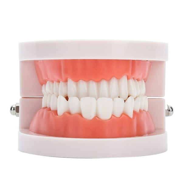 Gama de productos para prótesis dentales