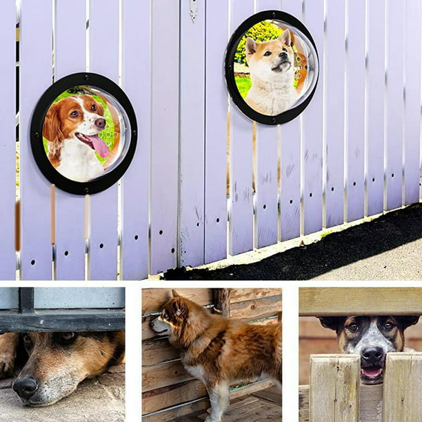 Casa Para Perros Pequeños Para Afuera Exteriores Patio Jardin Limpieza  Facil