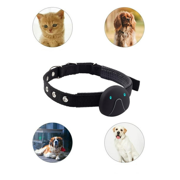 Rastreador GPS para mascotas, Rastreador GPS para perros y buscador de  mascotas, Accesorio para collar GPS para perros, Localizador a prueba de  agua, Dispositivo de seguimiento para perros, gatos, Monitor de actividad