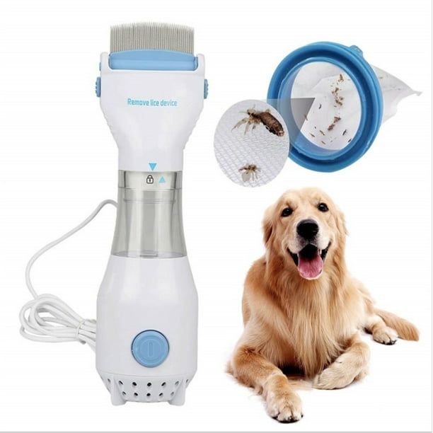 La corriente alta puede electrocutar a los piojos de las mascotas, peine  eléctrico antipiojos para perros, eliminación de pulgas de perros