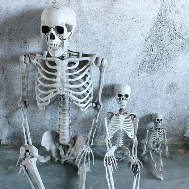 Cráneo Esqueleto de Halloween Decoraciones Escultura