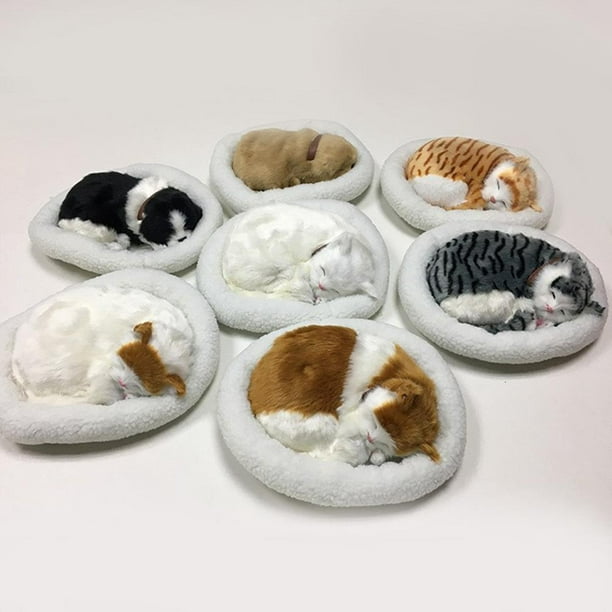 Juguete de peluche realista para dormir que respira Gato peludo Perro  peluche juguete con colchoneta Decoración de animales