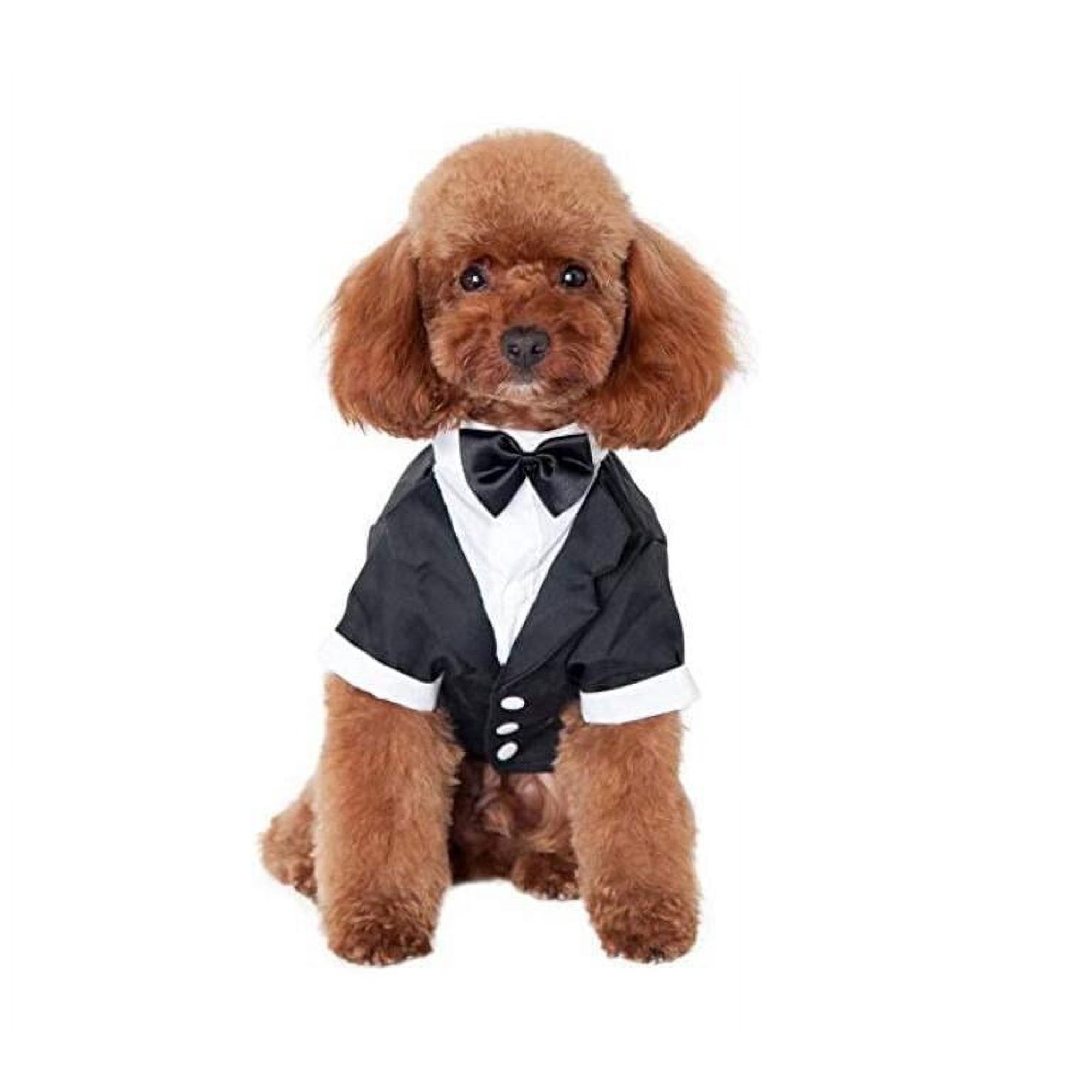 Esmoquin Para Perro, Ropa Formal Para Perro, Disfraz De Cami