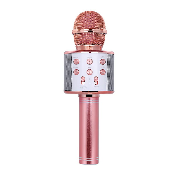 Micrófono inalámbrico Bluetooth profesional, altavoz de karaoke,  reproductor de música KTV Irfora Micrófono