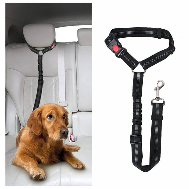 Cinturones de seguridad para perros
