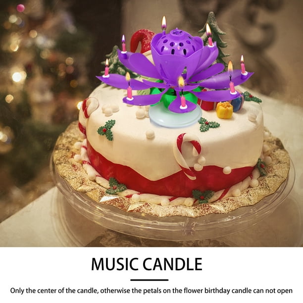 DOÑA FLORA Cotillon - ¡Decorá tu torta de cumple con las velas más  originales! ✨ Velas con formas de estrella, corazón y números, en varios  colores 🎂 👉 Escribinos a 📲 wa.me/543885082455❗