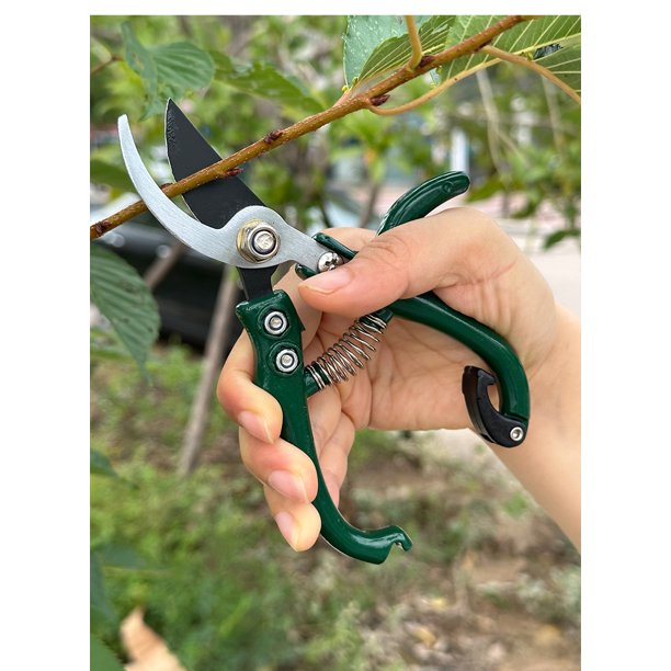 Tijeras de podar de derivación - Tijeras de jardín, tijeras de podar de  ramas, tijeras de podar ajustables, tijeras de mano tijeras de mano para