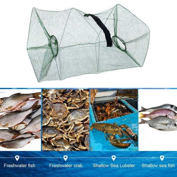 Red de pesca portátiljaula de malla para camarones y pecestrampa