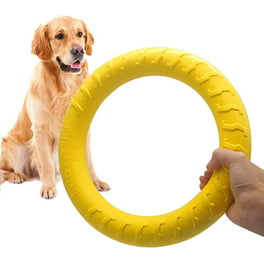 Juguetes para perros para masticadores agresivos, juguetes resistentes para  masticar para perros grandes y medianos, patrón de textura de resorte de