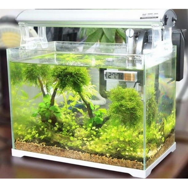 Termómetro de acuario, pantalla LCD sumergible, termómetro digital  impermeable para acuario con ventosa transparente para pecera