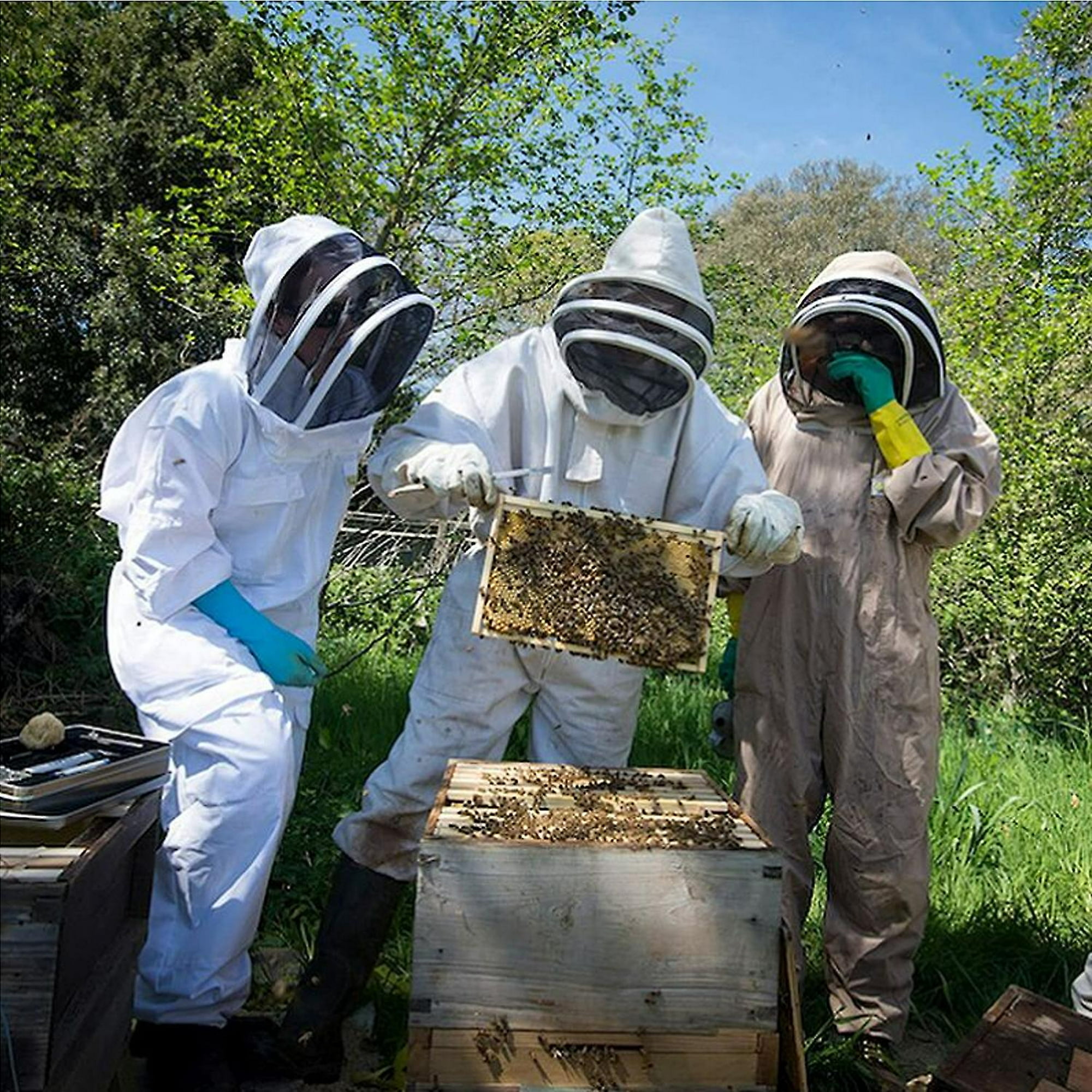 Traje de abeja para hombres y mujeres, traje de apicultor con guantes de  apicultura, traje de apicultura con capucha de velo, traje de cuidador de