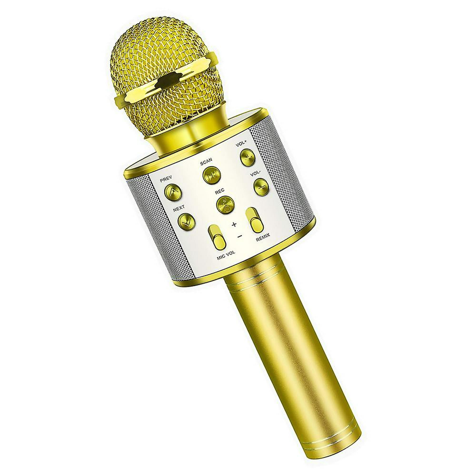 Altavoz con altavoz de micrófono, altavoz de karaoke para el hogar KTV con  micrófono con dos amplificadores de micrófono (dorado)