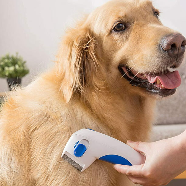 Peine eléctrico para eliminar piojos, limpiador eléctrico de piojos, peine  para liendres, tratamiento para animales como perros y gatos : :  Productos para mascotas