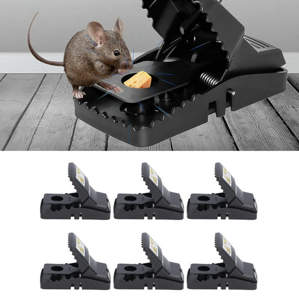 2x trampas para ratones, trampas para de seguridad Zulema trampa para  ratones atrapa plagas