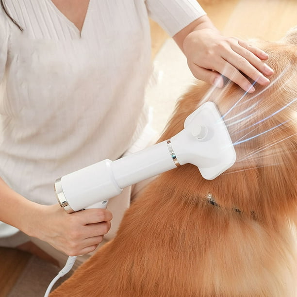  Secador de pelo para mascotas mejorado, soplador de