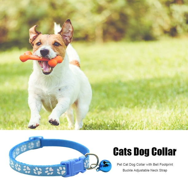 Collar ajustable para mascotas perro gato correa ajustable para