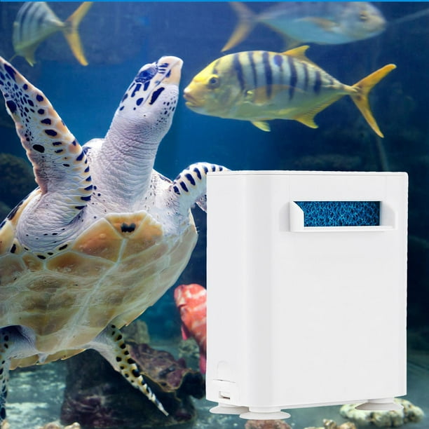  SILICAR Filtro de tanque de tortuga, filtro interno de reptiles  tortuga para acuario, bomba de limpieza de agua de bajo nivel, 4 W :  Productos para Animales
