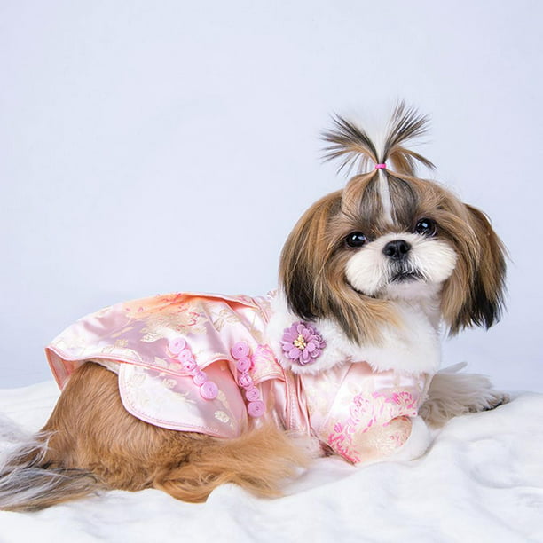 Trajes de disfraces para mascotas, atuendos para perros, accesorios para  fotos, ropa, suministros no Yuyangstore Disfraz de mascotas