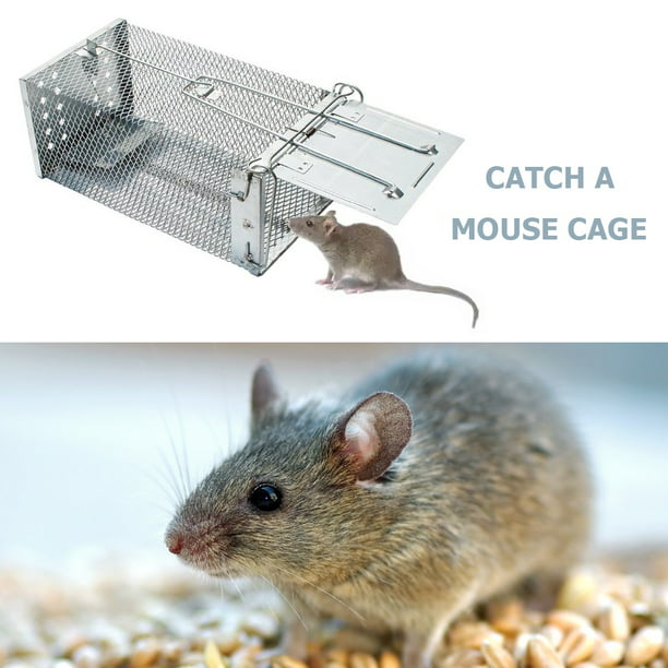 Trampa para ratones, trampas reutilizables para ratas de muerte  instantánea, trampa para ratones higiénica y efectiva con tazón de cebo  extraíble, asesino de ratas altamente sensible para en