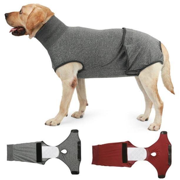 Pañales lavables para perros – Envoltura lavable para el vientre de perro  macho – Paquete de 2 Rojo Verde