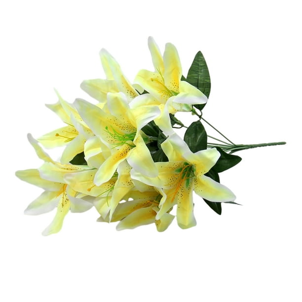 Ounissouiy Musgo Artificial de flores preservadas, Color sólido sintético,  reemplazo de bricolaje de larga duración, liquen de césped, accesorio de  Plantas Artificiales Naranja Ounissouiy HA084267-02
