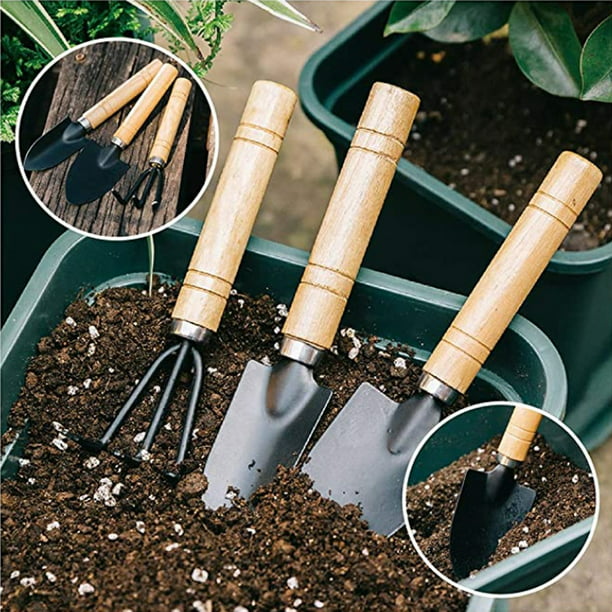 Kit de herramientas para bonsái de 10 piezas - Mini herramientas de  jardinería para plantas de interior y cultivo profesional de bonsái TUNC  Sencillez