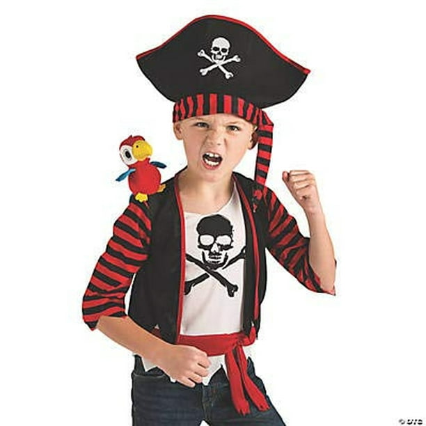 Pirata de dibujos animados pirata con un loro en su hombro