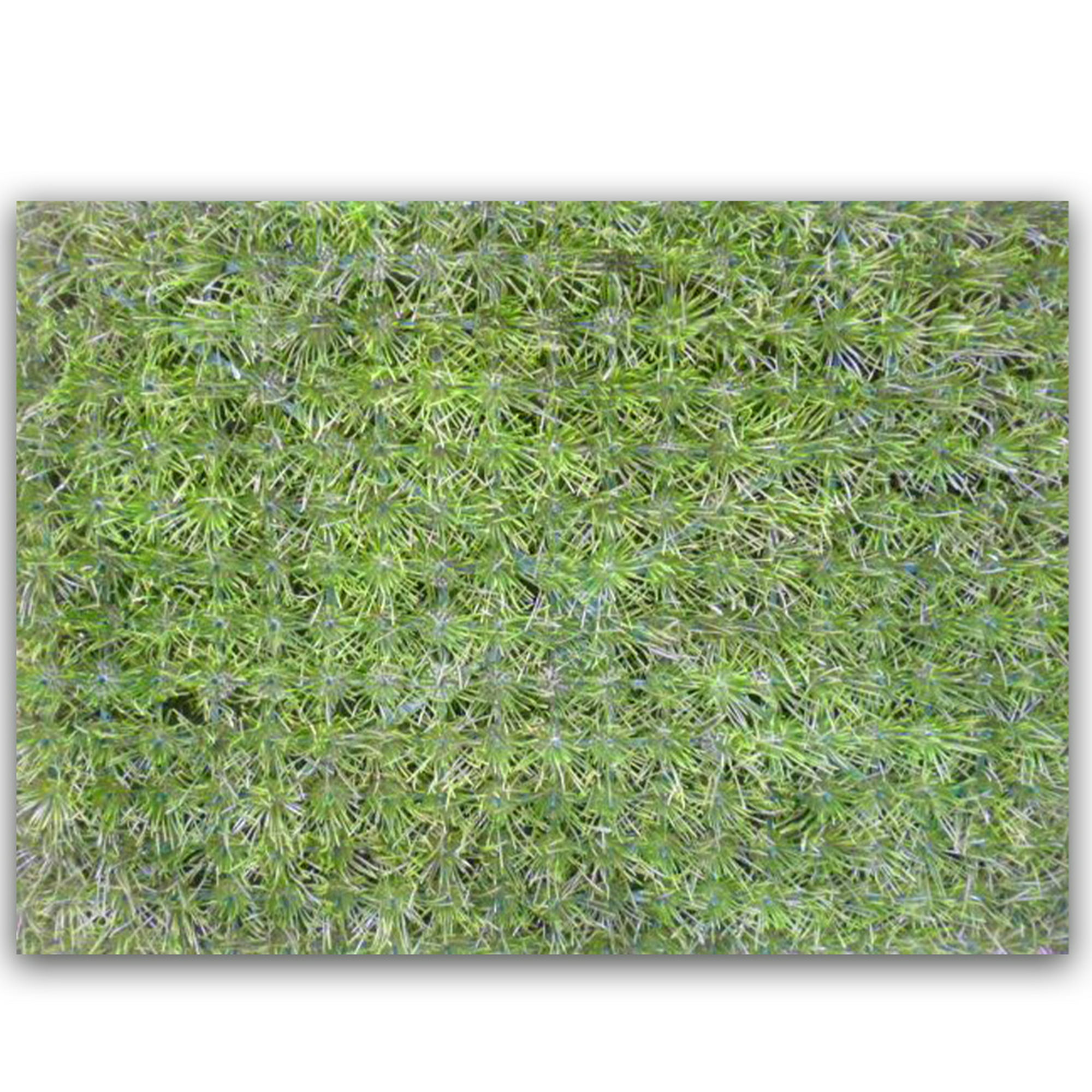 Muro verde follaje artificial 4 piezas 40*60 cm storyland 057547
