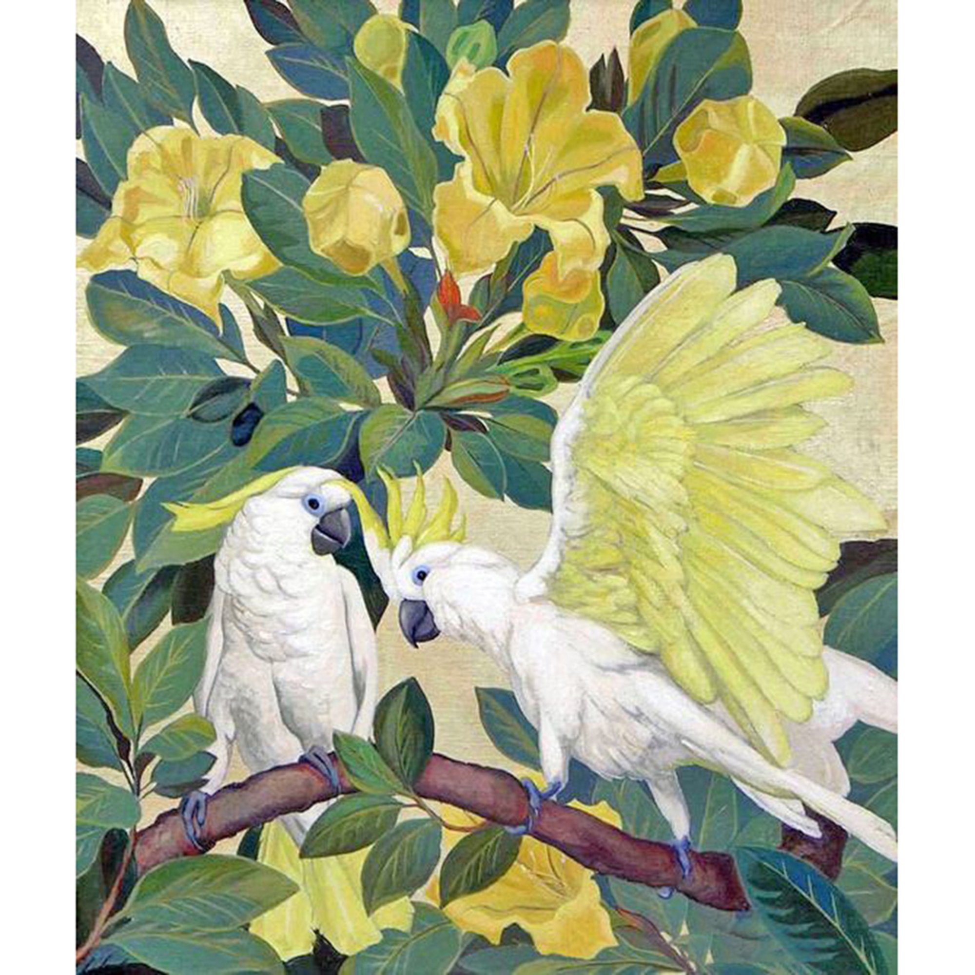 5d Diamond Painting Kit Pintura Diamante cacatua