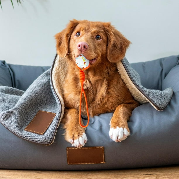 Juguetes para perros pelota de cuerda