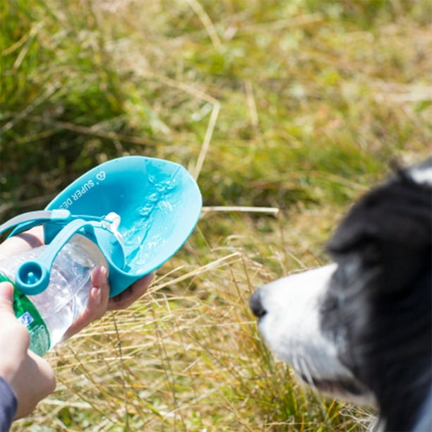 Botella De Agua para Perros, 2 en 1 de 350 ml para Bebedero portatil Perro  Plegable Botellas De Agua para Perro, para Mascotas para Caminar al Aire  Libre, Senderismo, Viajes,Yellow : 