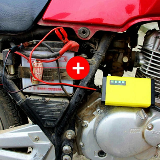 Cargador de batería 12V 2A Coche Moto Cargador de batería Pantalla LED (UE)  Ndcxsfigh Accesorios para autos y motos