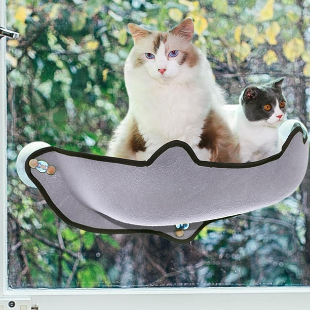 Hamaca para ventana de gato, hamaca para ventana de gato con 4 ventosas  fuertes, asiento de perca para gatos de interior (verde)