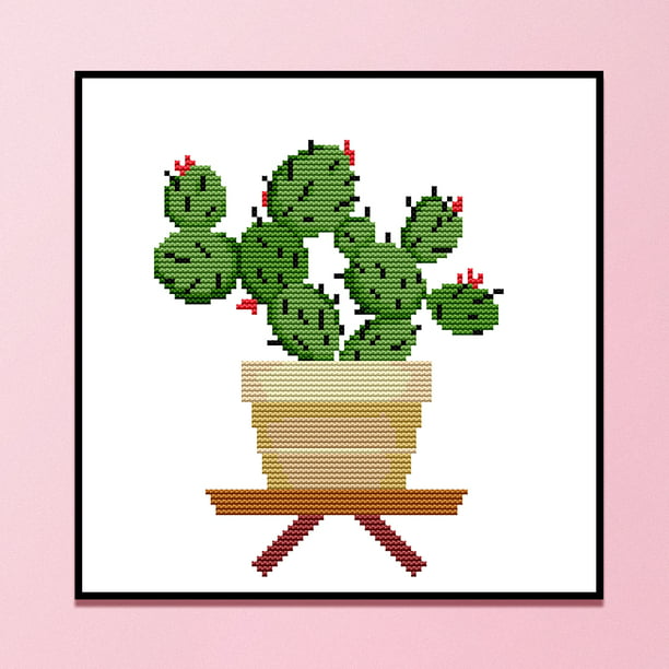 Cómo hacer cuadros con cactus naturales