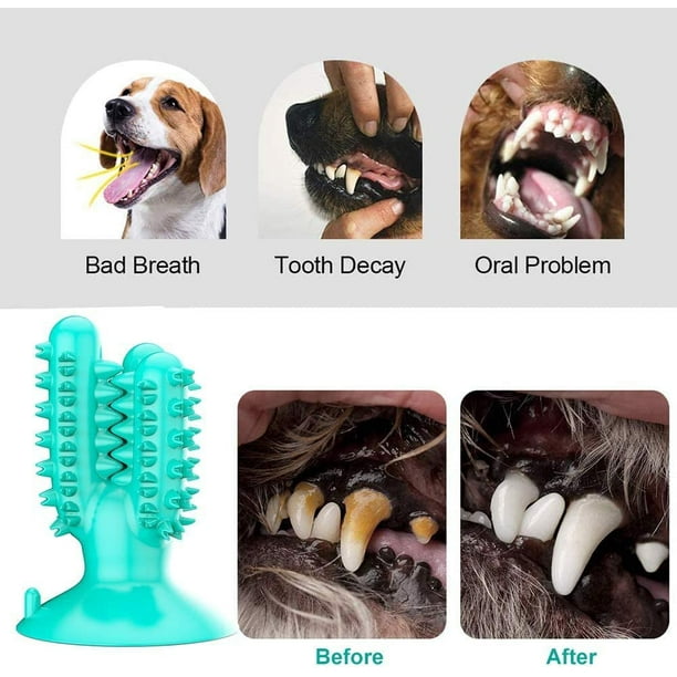 Juguetes para perros, cepillo de dientes interactivo para perros